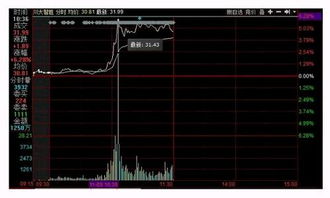特朗普當(dāng)選總統(tǒng)對(duì)軟件開發(fā)行業(yè)的影響與應(yīng)對(duì)