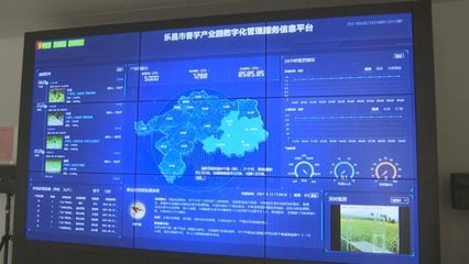 韶關(guān)民聲網(wǎng)數(shù)據(jù)處理服務(wù) 高效智能，賦能社會(huì)治理與民生服務(wù)