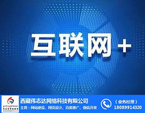 拉薩網站建設哪家公司好？一站式服務省時省心